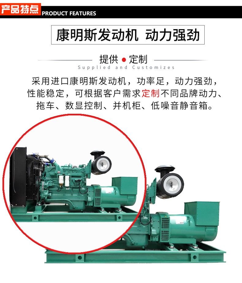 320KW康明斯發(fā)電機(jī)組 特點(diǎn)