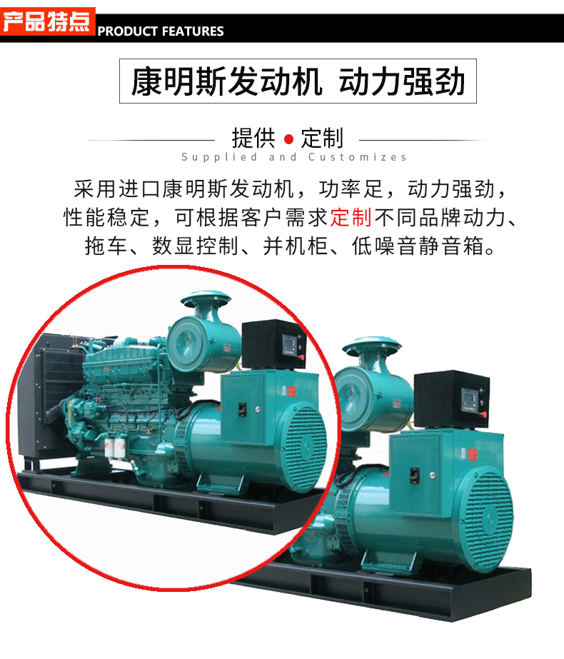 250KW明康明斯發(fā)電機(jī)組 特點(diǎn)