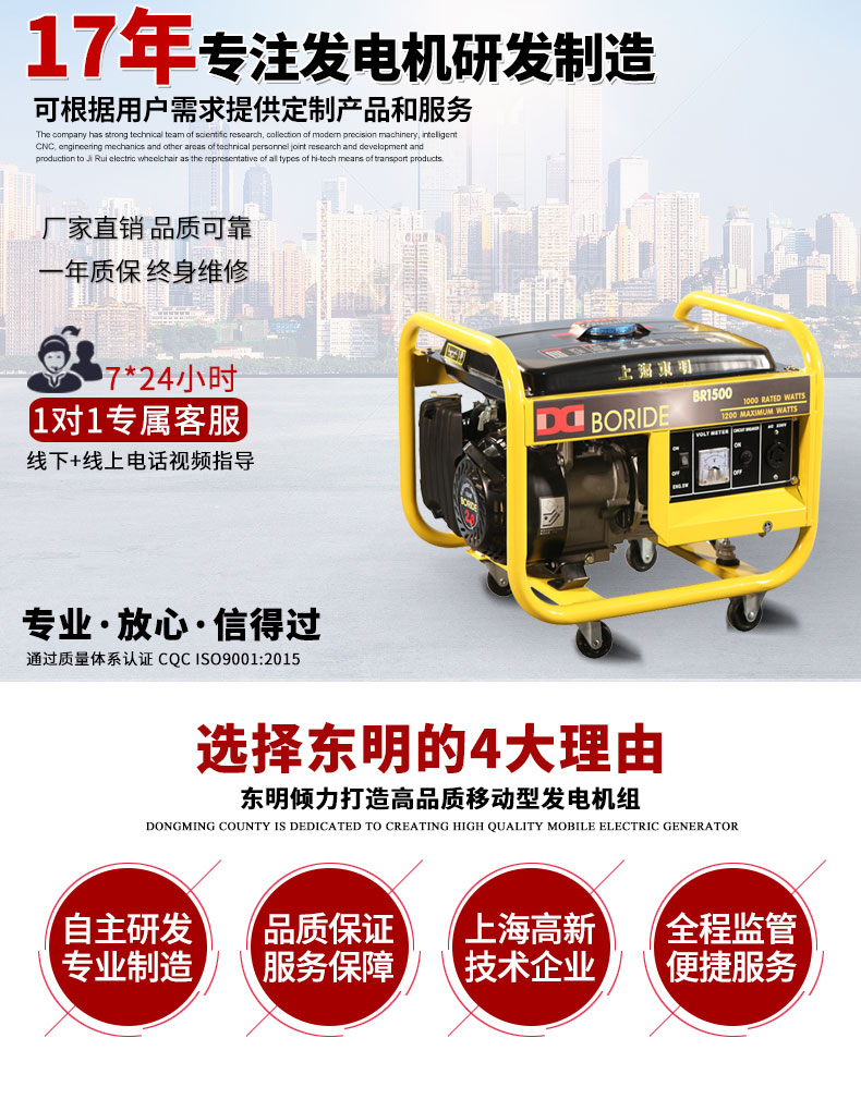 單相1kW小型汽油發(fā)電機(jī)組主圖